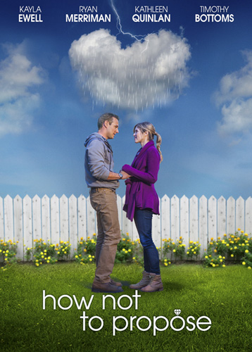 how-not-to-propose movie poster